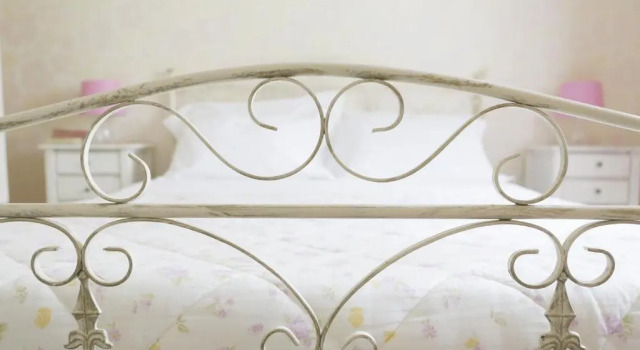 Standard Zimmer Gradelle Pennino