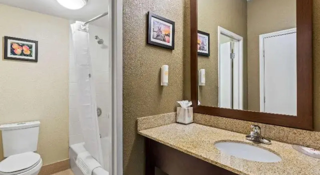 Двухместный люкс с балконом Comfort Inn Roswell-Dunwoody