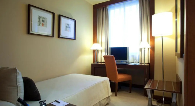 Одноместный номер Standard Hotel Nuevo Madrid