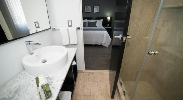 Двухместный номер LaiLa Hotel Mexico City Reforma