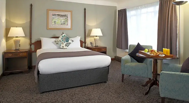 Двухместный номер Club Plus Copthorne London Gatwick