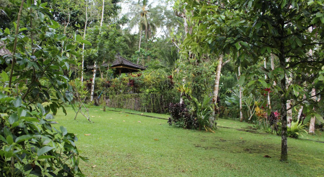 Номер Standard Tegal Jero Homestay