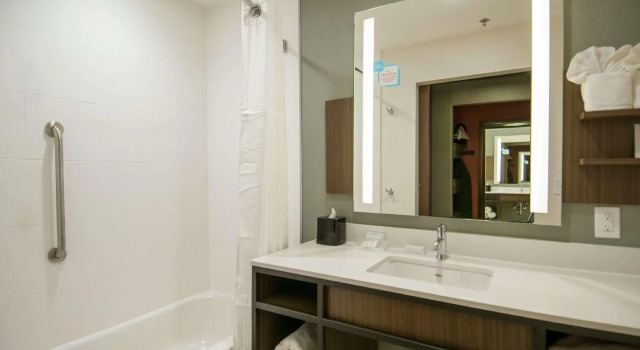 Четырёхместный номер Standard Hilton Garden Inn Jackson/Clinton