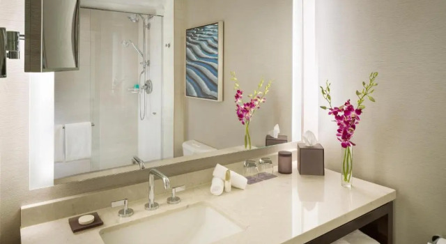 Двухместный номер Standard Hyatt Regency San Francisco Airport