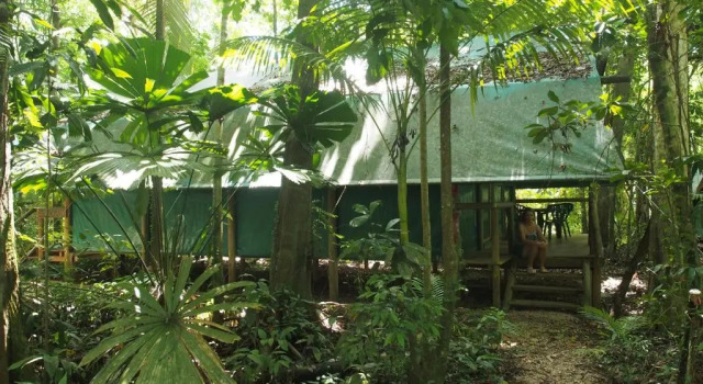 Люкс Daintree Crocodylus