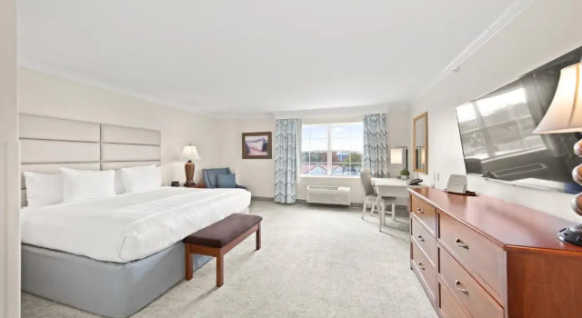 Номер Standard с видом на бассейн Hotel Rehoboth