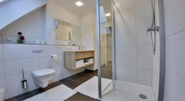 Апартаменты Пентхаус Hotel Ochsen