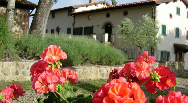 Fattoria di Belvedere, Book Hotel Hotels in Poppi with a Pool, Swimming Pool