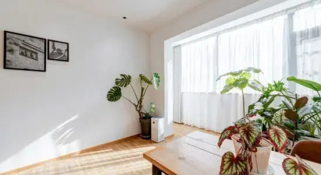 Люкс Luxury Xian Jasmine Boutique Inn