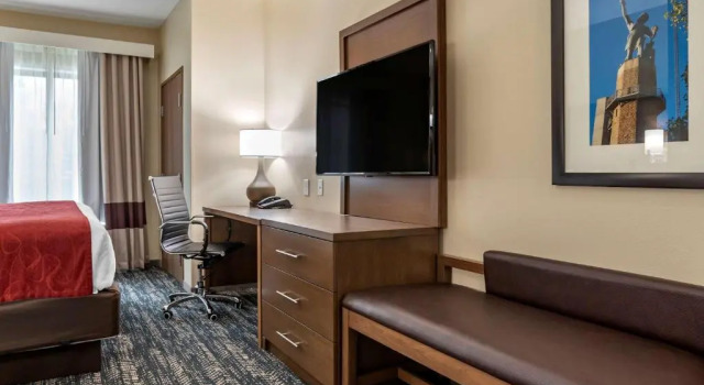 Люкс Comfort Inn & Suites Downtown near University