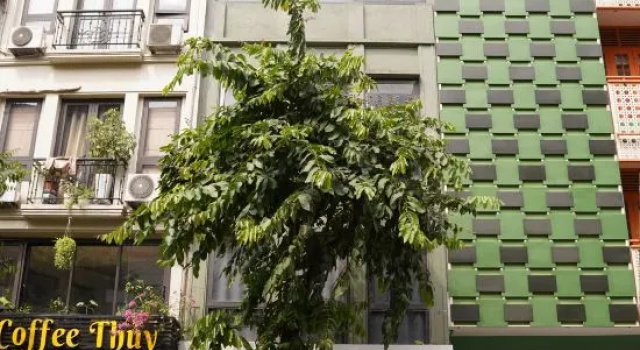 The Windie Home - Bright Corner Room - Street View - Hoan Kiem Lake