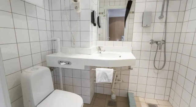 Трёхместный номер Standard ProfilHotels Mercur