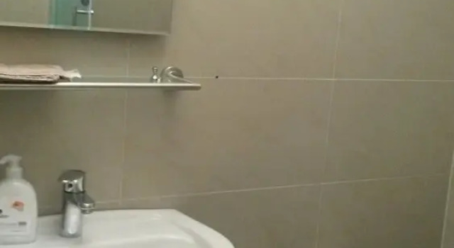 Апартаменты Classic c 1 комнатой с видом на город Köln Messe Apartment Herler