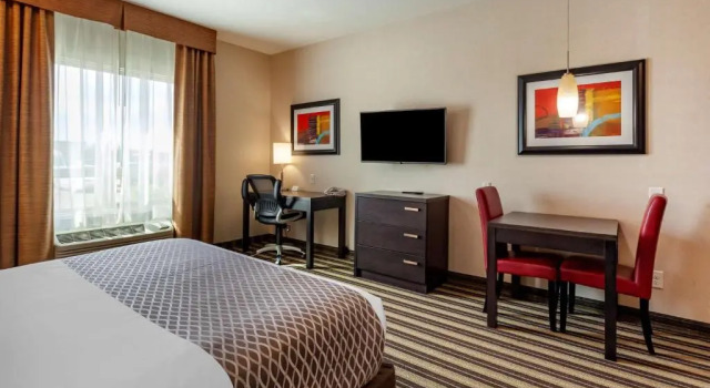 Номер Standard Best Western Plus Drayton Valley