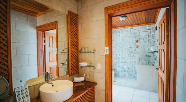 Номер Deluxe с балконом Ficus Sunset Suites