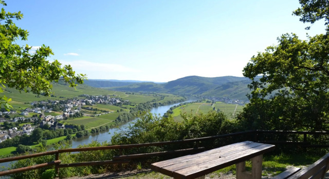 Weingut Mathy-Schanz, Book Hotel Monzel Rhineland-Palatinate