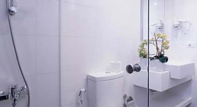 Люкс Пентхаус с балконом 35 Rooms