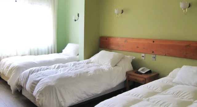 Трёхместный номер Standard с видом на горы Hotel Saltos del Paine