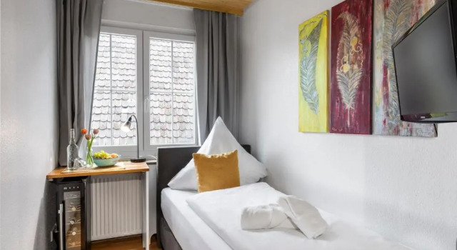 Одноместный номер Standard Hotel Sonnenstube Hagnau
