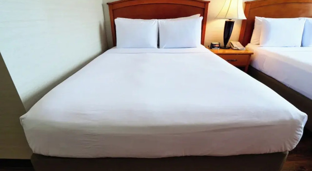 Четырёхместный номер Standard Continental Inn & Suites
