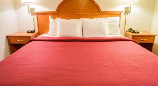 Номер Standard GuestHouse Inn Fife