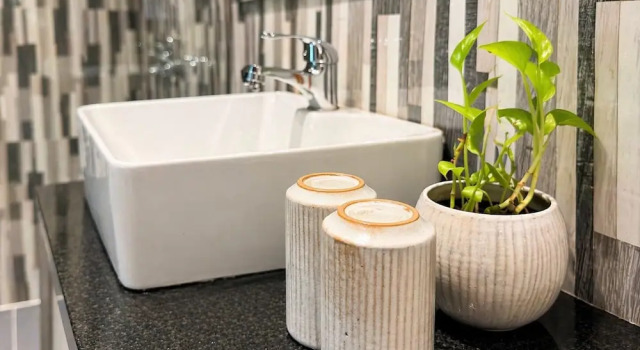 Номер Deluxe Moringa Tree Maison