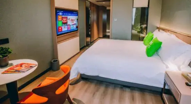 Люкс Ibis Styles Hotel (Dongguan Chang'an Light Rail Station)
