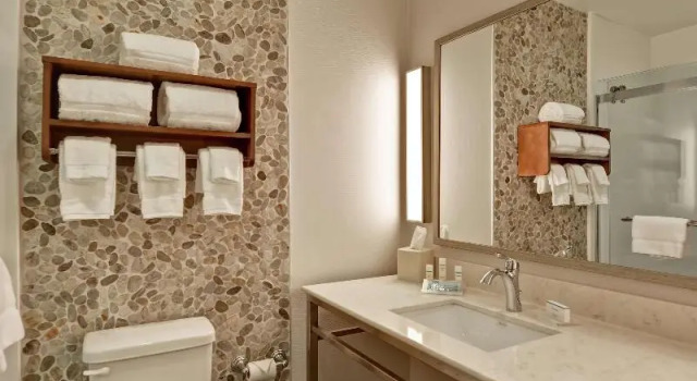 Четырёхместный номер Premium Hilton Garden Inn By Hilton Phoenix/Tempe Asu Area, Az