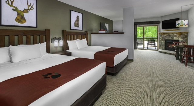 Семейный номер Standard Great Wolf Lodge Cincinnati/Mason