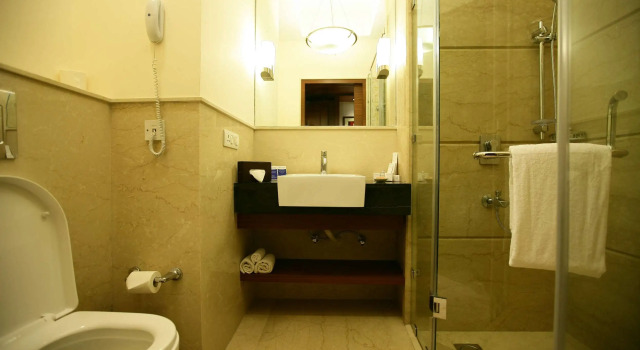 Двухместный полулюкс RS Sarovar Portico