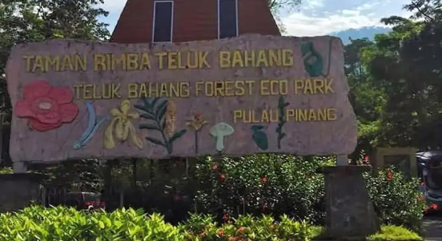 Eco Capsule Resort at Teluk Bahang, Penang, Buchen Sie Resort Teluk Bahang Penang
