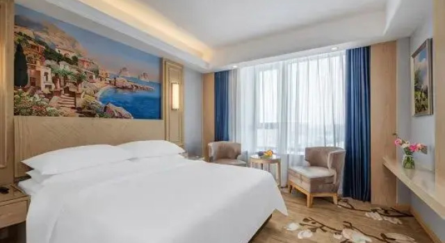 Двухместный люкс Deluxe Vienna International Hotel (Changsha Science and Technology New Town Shaoguang Metro Station)
