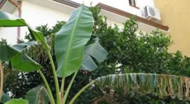 Mare Blu, Buchen Sie Hotel Gioiosa Marea Sizilien
