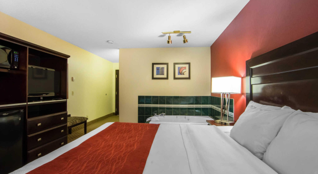 Двухместный номер Standard Comfort Inn & Suites Airport South
