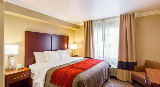 Одноместный номер Standard Comfort Inn Arcata