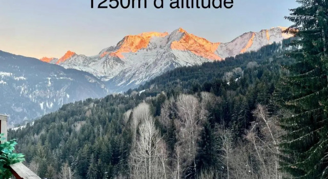 Студия Studio Turquoise quartier Grattague vue MontBlanc