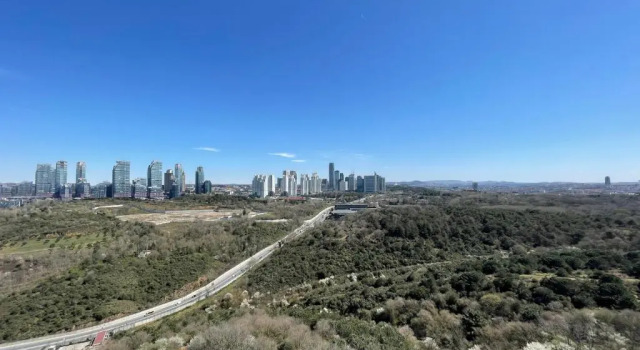 Люкс Luxurious Residence in Istanbul
