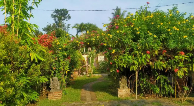Economy Doppel Zimmer mit Blick Efata Homestay