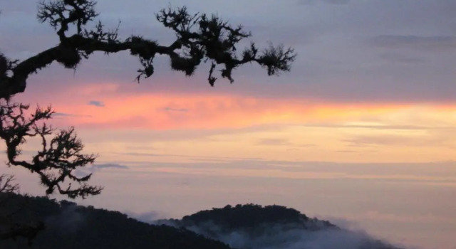 Полулюкс Dantica Cloud Forest Lodge