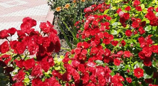 Salda Apart Pansiyon, Rezervovat Hostel Yesilova Mediterranean Region Turkey