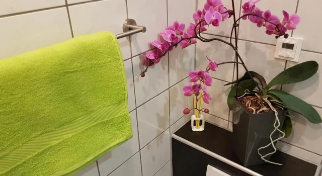 Номер Economy Hotel Exquisite