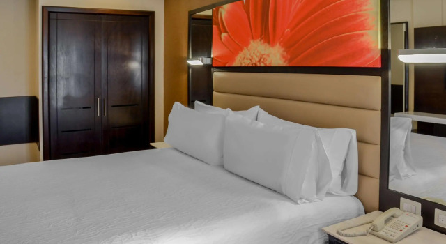Двухместный номер Hilton Garden Inn Guatemala City