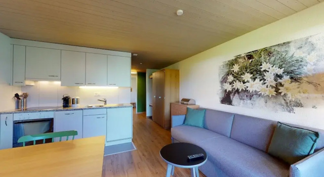 Номер Standard c 1 комнатой с балконом Reka-Feriendorf Wildhaus