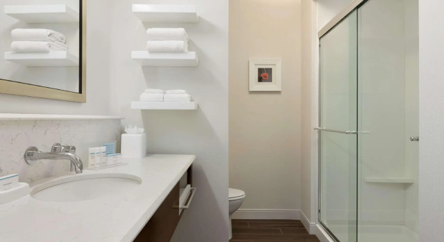 Двухместный номер Standard Hampton Inn & Suites Seattle/Renton, Wa