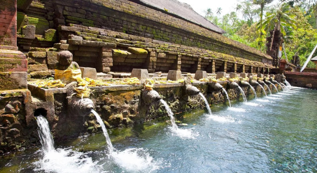 Ayu Ubud Hostel, Rezervovat Hostel Hostely v Bali, Hostel