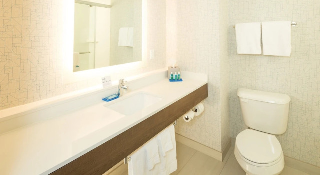 Люкс с 2 комнатами Holiday Inn Express Hotel & Suites Bay City by IHG