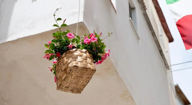 Il Riccio Apartment 28