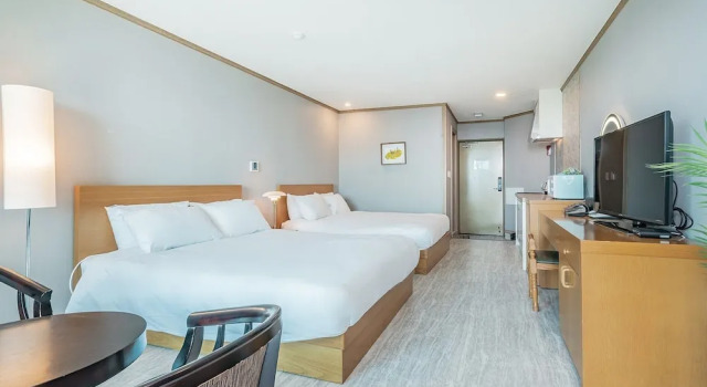 Двухместный семейный номер Standard J View Hotel