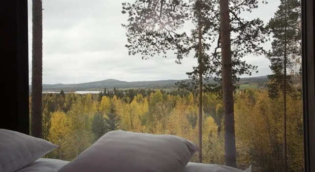 Treehotel, Prenota Hotel Harads Norrbotten