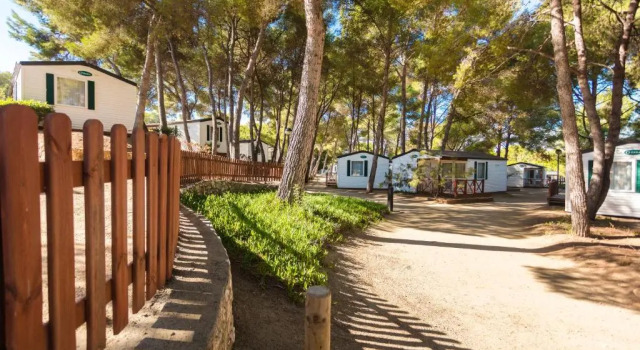 Бунгало Las Palmeras Camping & Bungalow